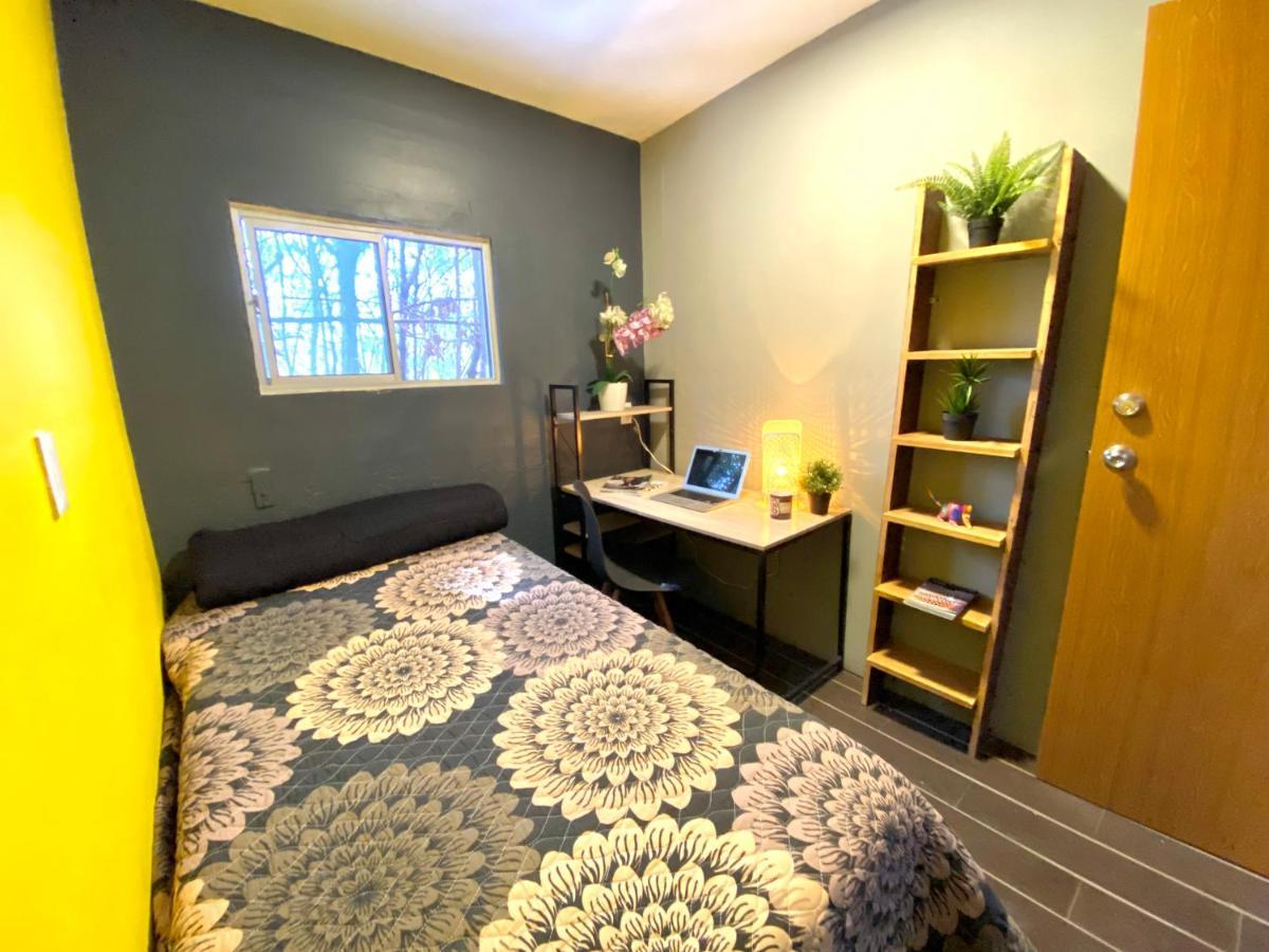 Roomies Hostel - Santa Maria La Ribera Meksyk Zewnętrze zdjęcie